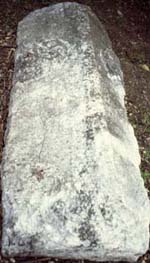 Saint-Alban de Roche : couvercle de sarcophage